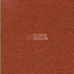 Ковролин Radici Nexus Cotto 2413 фото 1 | FLOORDEALER